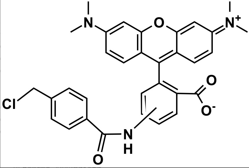 CytoTrace™ Orange CMTMR *CAS 323192-14-9*