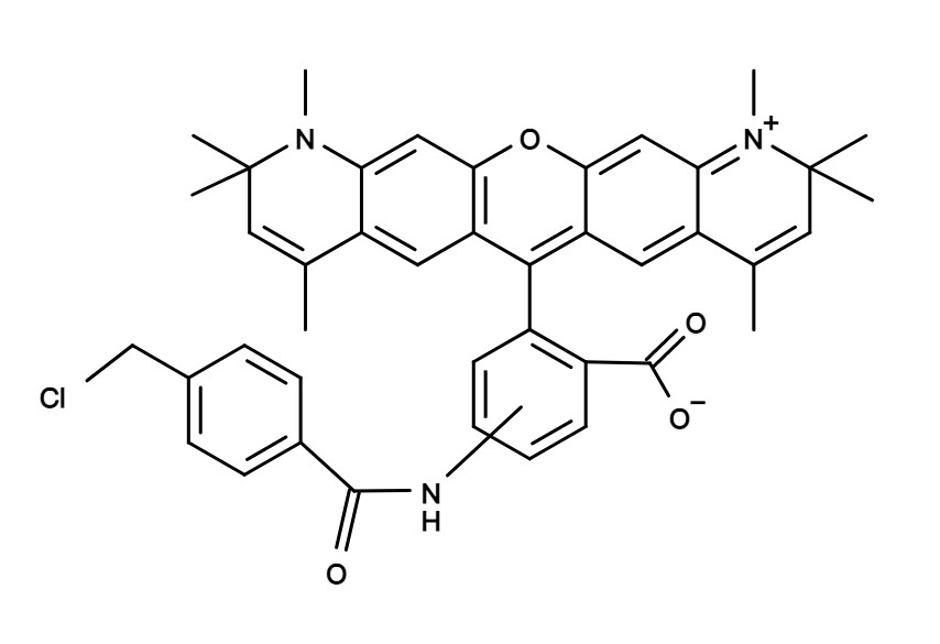 CytoTrace™ Red CMTPX