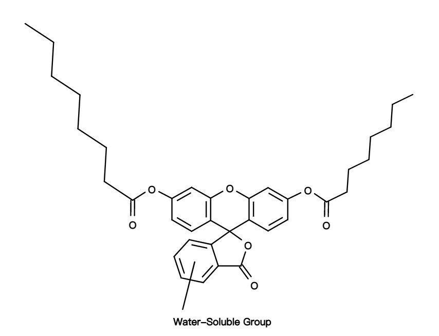 Fluorescein dicaprylate WS1