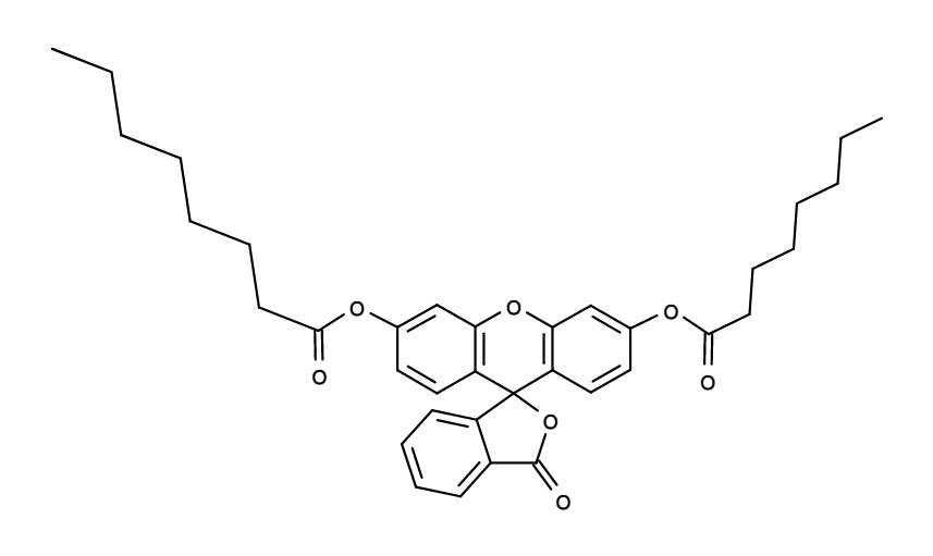 Fluorescein dicaprylate [Fluorescein dioctanoate]