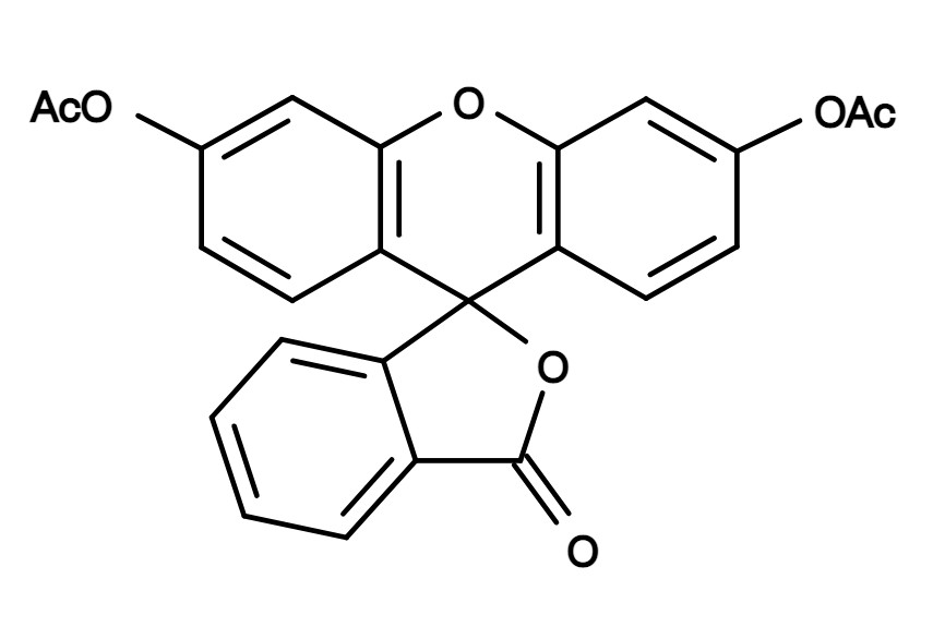 FDA [Fluorescein diacetate] *CAS 596-09-8*