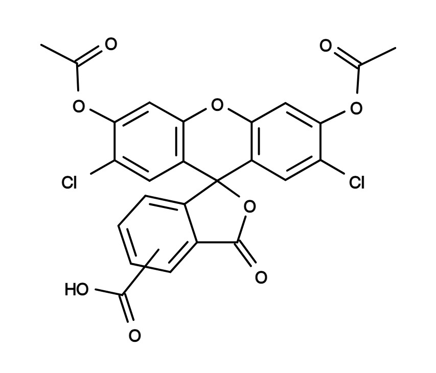 CDCFDA [5-(and-6)-Carboxy-2',7'-dichlorofluorescein diacetate] *