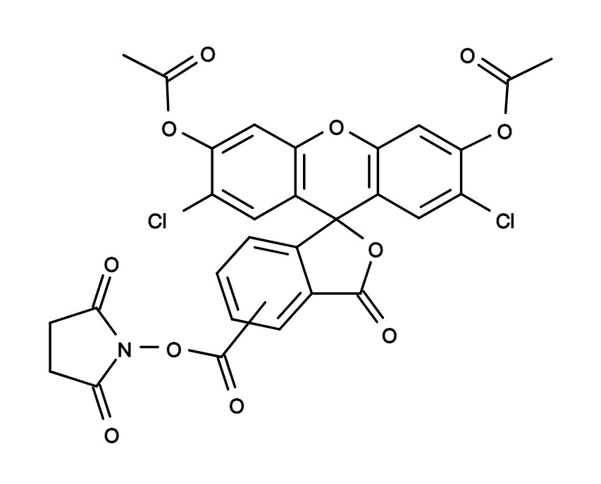 CDCFDA, SE [5-(and-6)-Carboxy-2',7'-dichlorofluorescein diacetat