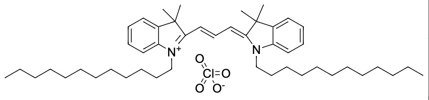 DiIC12(3) perchlorate [1,1-Didodecyl-3,3,3,3-tetramethylindocarb