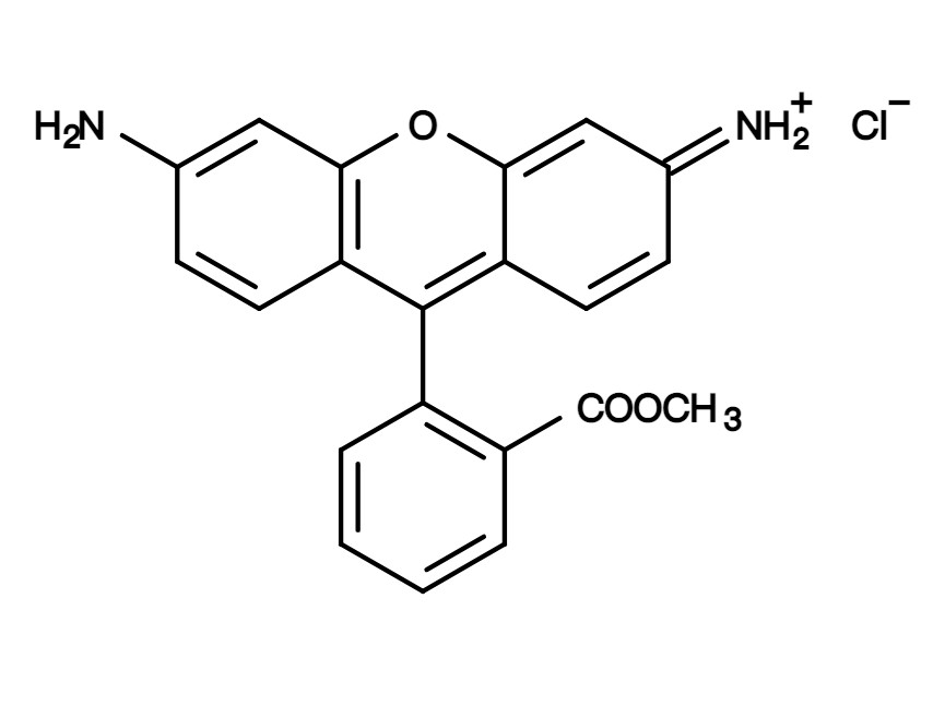 Rhodamine 123 *CAS 62669-70-9*