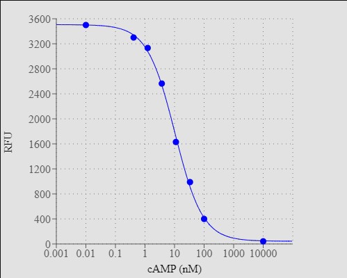Screen Quest™ Fluorimetric ELISA cAMP Assay Kit