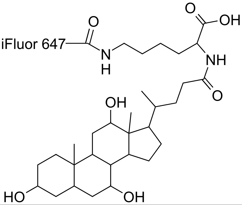 Cholyl-iFluor™ 647 conjugate