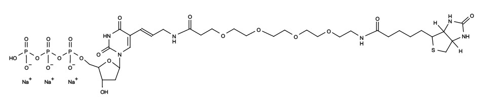 Biotin-20-dUTP *1 mM in Tris Buffer (pH 7.5)*