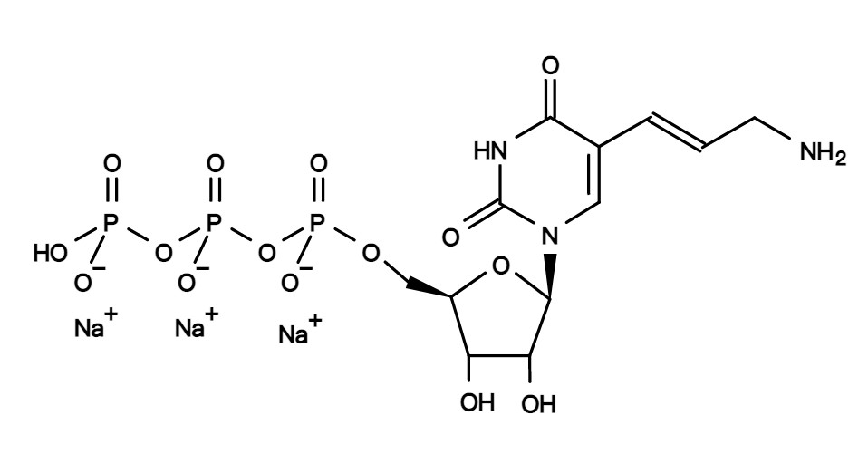 AA-UTP [Aminoallyl UTP sodium salt] *4 mM in TE buffer* *CAS 752