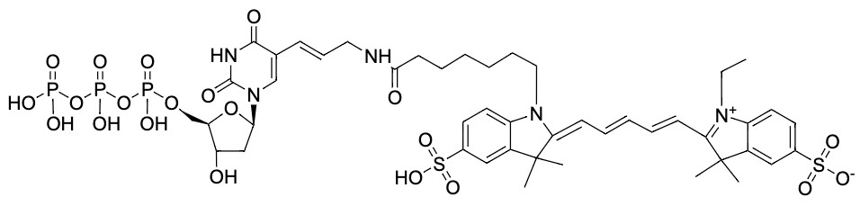Cyanine-5- dUTP [Cy5-dUTP]  *1 mM in Tris Buffer (pH 7.5)*
