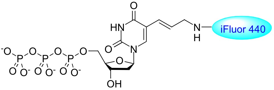 iFluor® 440-dUTP *1 mM in Tris Buffer (pH 7.5)*