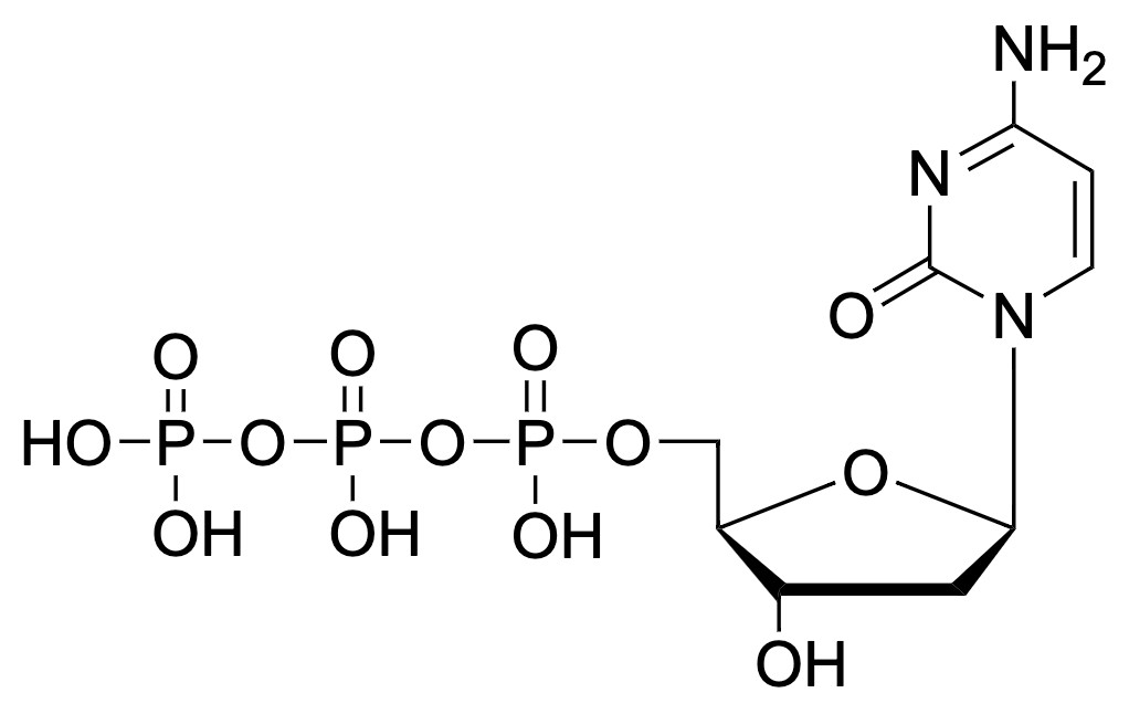 dCTP *100 mM PCR Grade*