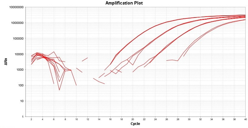 TAQuest™ FAST qPCR Master Mix for TaqMan Probes *No ROX*