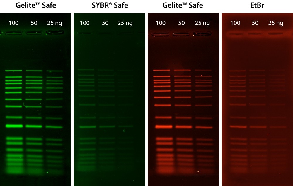 Gelite™ Safe Nucleic Acid Gel Stain *10,000X Water Solution*