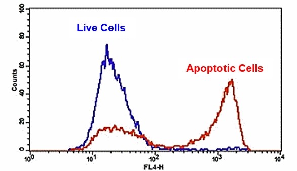 Annexin V-Cy5 conjugate