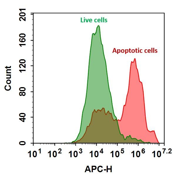 Annexin V-iFluor™ 633 conjugate