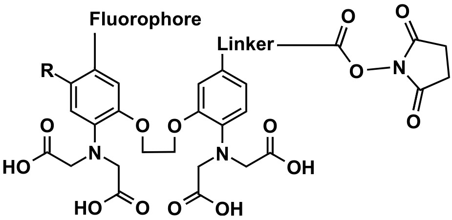 Cal-520® NHS Ester