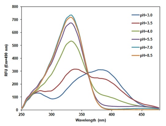 RatioWorks™ PDMPO Dextran