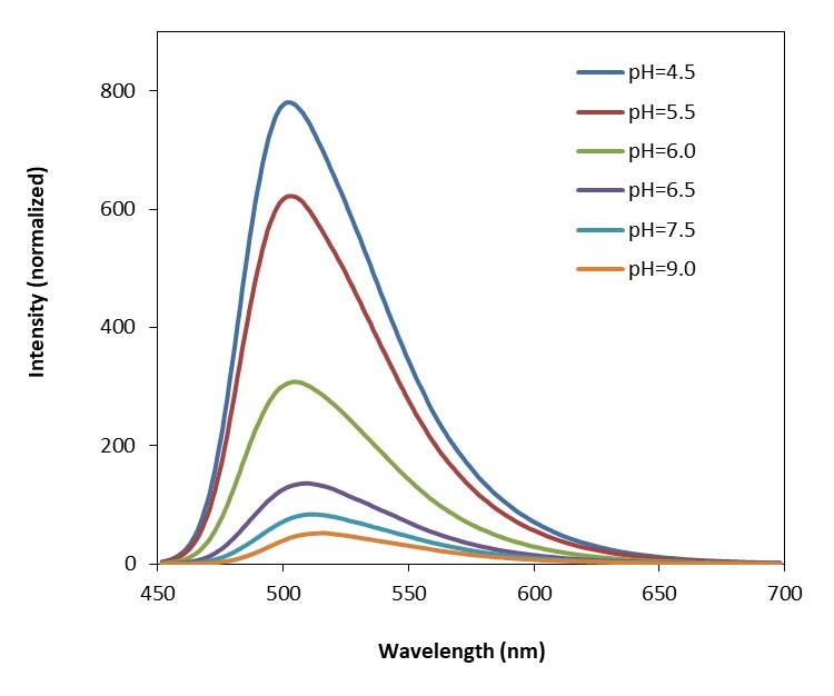 Protonex™ Green 500 Dextran