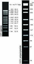 pUC18/MspI (34-501bp)