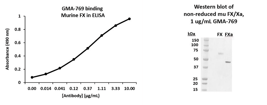 Rat Anti-Murine Factor X抗体(GMA-769)