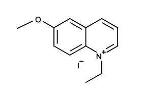 MEQ氯离子荧光探针.png