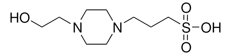 EPPS(HEPPS)