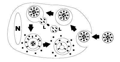 mechanism2.gif