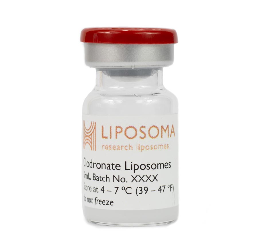 氯膦酸盐脂质体 LIPOSOMAL FORMULATIONS