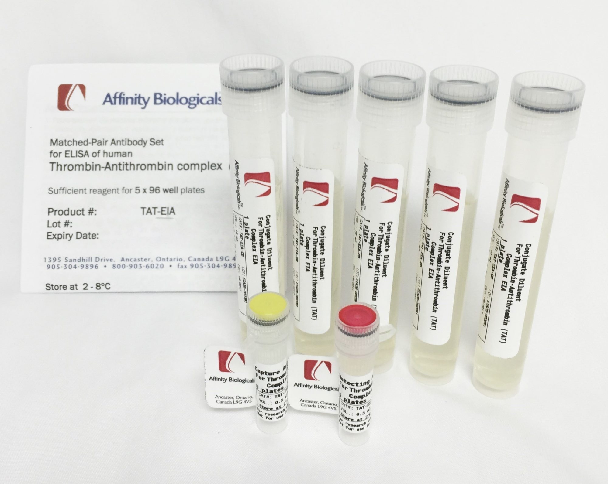 TAT Complex Paired Antibody Set