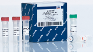 QIAGEN Multiplex PCR Kit
