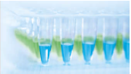 QuantiNova SYBR Green PCR Kit