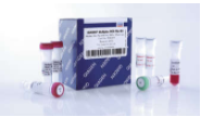QIAGEN Multiplex PCR Plus Kit