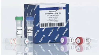 QIAGEN OneStep RT-PCR Kit