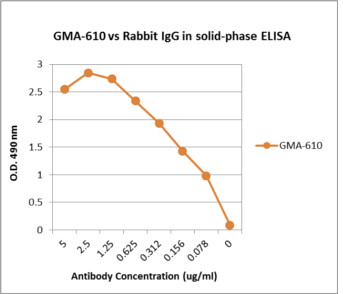 Murine Anti-Rabbit IgG抗体(GMA-610)