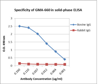 Murine Anti-Bovine IgG抗体(GMA-660)